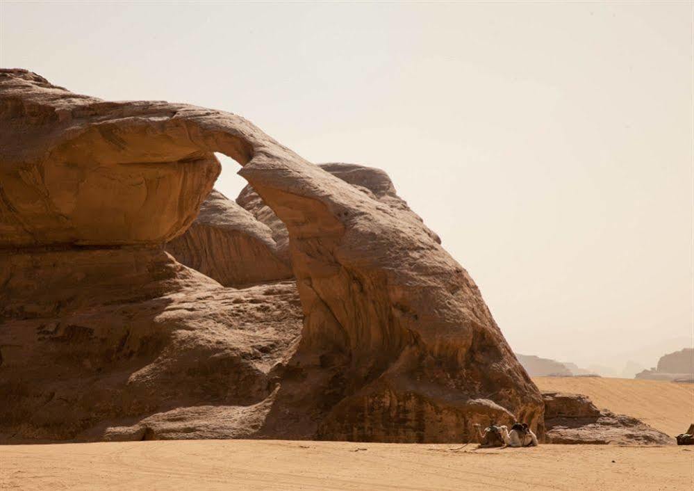 Wadi Rum Caravan Camp Exterior foto